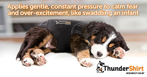 ThunderShirt for Dogs, Small, Pink Polo - Dog Anxiety Vest