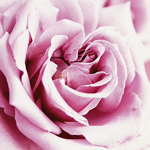 Women's Perfume, Fragrance by Paul Sebastian, Day or Night Scent, Eau de Parfum, CASUAL, 3.4 Fl Oz