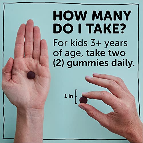 SmartyPants Kids Probiotic Immunity Gummies: Prebiotics and Probiotics for Immune Support and Digestive Comfort, Grape Flavor, Vegan Gummy Vitamins, 60 Count, 30 Day Supply, No Refrigeration Required