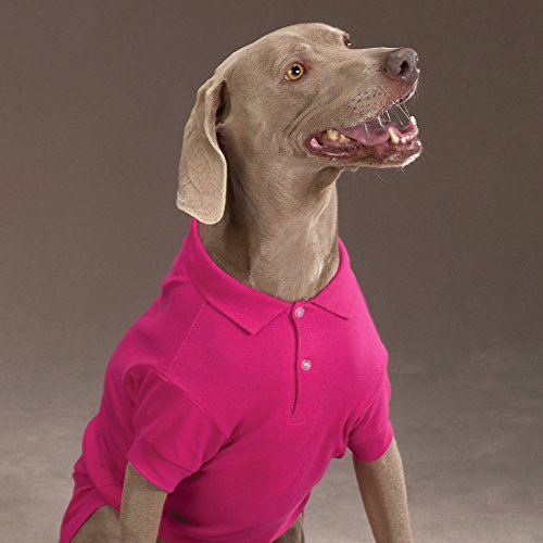 Zack and Zoey Cotton Polo Shirt for Dogs, 24' X-Large, Raspberry Sorbet