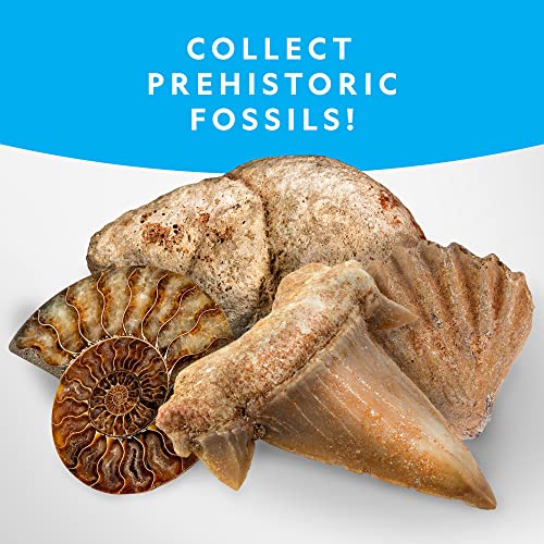 NATIONAL GEOGRAPHIC Rock Collection Box for Kids – 200+ Piece Gemstones and Crystals Set Includes Geodes and Real Fossils, Rocks and Minerals Science Kit for Kids, A Geology Gift for Boys and Girls