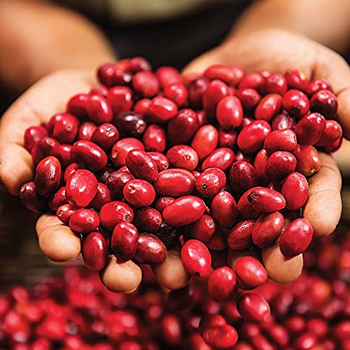 Green Mountain Coffee Roasters Nantucket Blend, Ground Coffee, Medium Roast, Bagged 12 oz