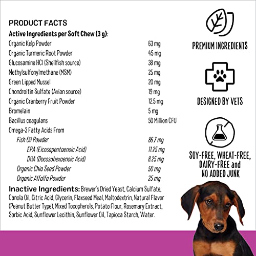 SmartyPants Dog Vitamins and Supplements, Multivitamin with Glucosamine, Chondroitin, and Probiotics for Joint, Skin, and Gut Support, Peanut Butter Flavor, 60 Soft Chews by SmartyPaws