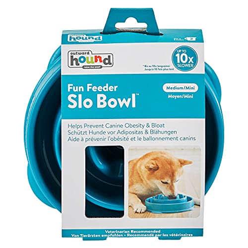 Outward Hound Fun Feeder Slo Bowl, Slow Feeder Dog Bowl, Medium/Mini, Turquoise