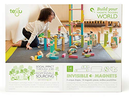 14 Piece Tegu Magnetic Wooden Block Set, Blossom