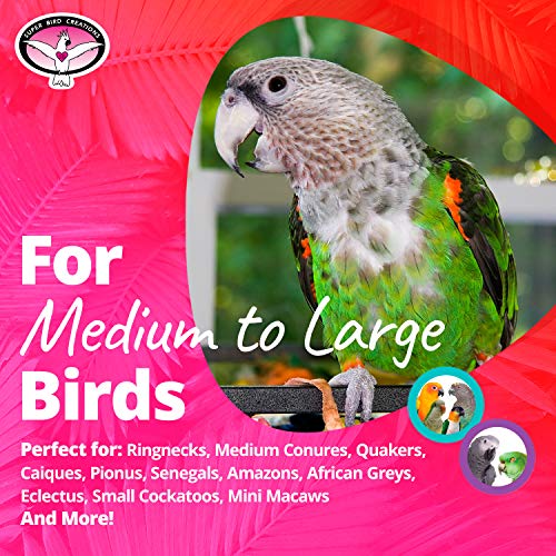 Super Bird Creations SB301 Chewable Paper Party Bird Toy with Colorful Lollipop Sticks, Large Size, 6.5” x 1.5” x 1.5”,Varies