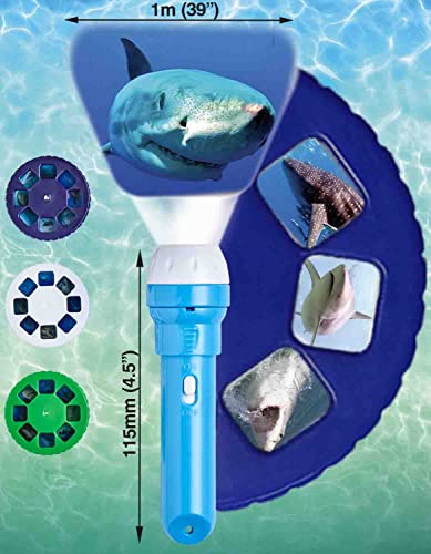 Brainstorm Toys: Shark Torch and Projector, Projects 24 Fascinating Colour Shark Images onto Walls and Ceilings, Includes 3 Slide Discs, Batteries Included, For Ages 3 and up