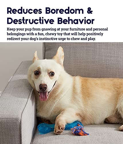 Petstages Orka Bone Royal Blue Treat-Dispensing Dog Chew Toy