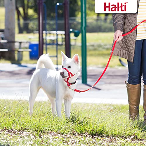 Halti Training Lead For Dogs, Double Ended Dog Training Leash for Halti Head Collar and No Pull Harness, Red Training Leash for Small Dogs and Medium Dogs