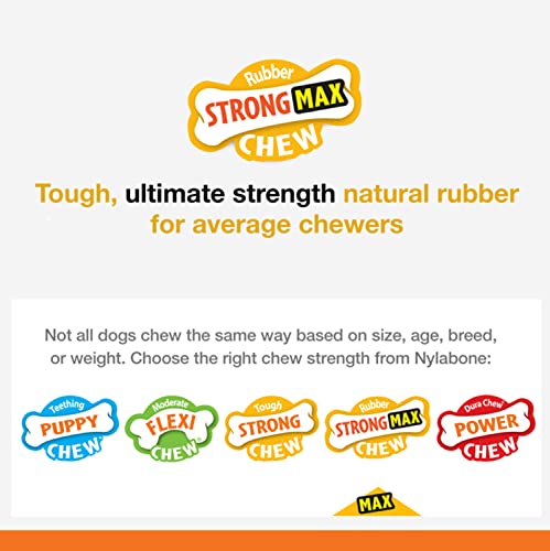 Nylabone Strong Chew Cone Stuffable Chew Toy for Dogs Cone Bacon Small/Regular (1 Count)