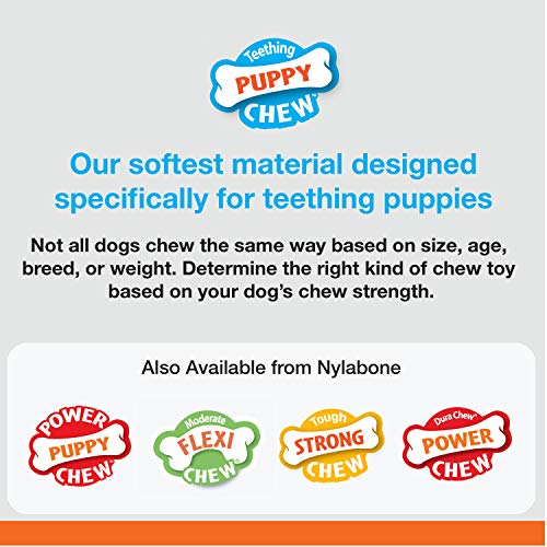 Nylabone Just for Puppies Teething Chew Toy Keys Bacon Medium/Wolf (1 Count)