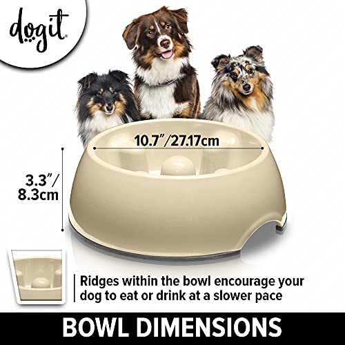 Dogit Dog Bowl Slow Feeder for Wet or Dry Dog Food, Go Slow Anti-Gulping Dog Dish, White, L