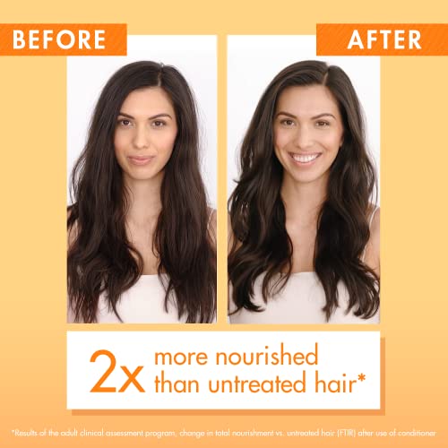 Klorane Nourishing Conditioner with Mango Butter, Moisturize and Hydrate Dry Hair, Paraben, Silicone, Sulfate Free, 1.6 oz.