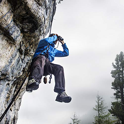 Steiner Safari UltraSharp Binoculars Compact Lightweight Performance Outdoor Optics, 10x26