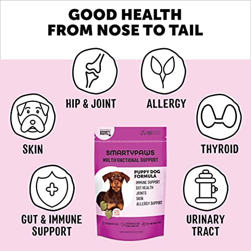 SmartyPants Dog Vitamins and Supplements, Multivitamin with Glucosamine, Chondroitin, and Probiotics for Joint, Skin, and Gut Support, Peanut Butter Flavor, 60 Soft Chews by SmartyPaws
