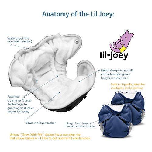 Kanga Care Lil Joey 2 Pack All-in-One Cloth Diaper, Fluff