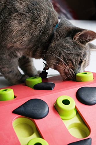 Petstages Nina Ottosson Melon Madness Puzzle and Play - Interactive Cat Treat Puzzle