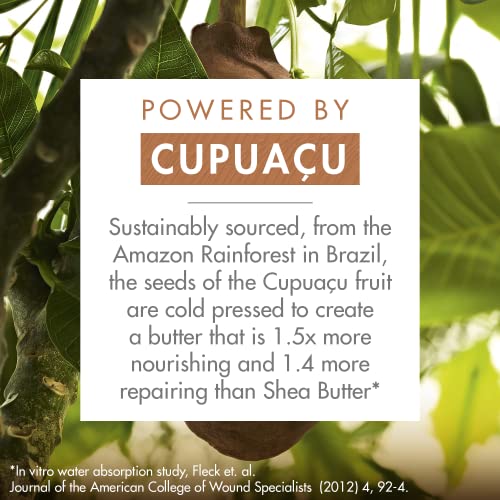 Klorane Shampoo with Organic Cupuaçu Butter, Nourishing and Repairing for Very Dry Damaged Hair, SLS/SLES-Free, Biodegradable, 13.5 fl. oz.