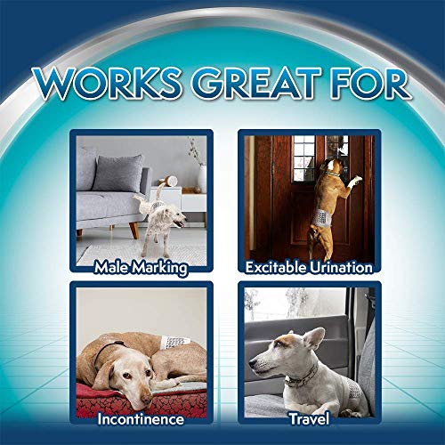 Simple Solution Disposable Dog Diapers for Male Dogs | Male Wraps with Super Absorbent Leak-Proof Fit | Excitable Urination, Incontinence, or Male Marking | Medium | 12 Count