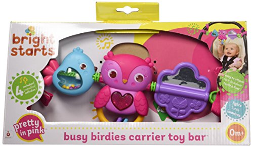 Bright Starts Busy Birdies Carrier Toy Bar Musical Take-Along Toy with Lights, Ages Newborn +, Pink