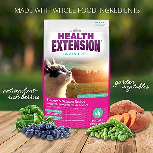 Health Extension Dry Cat Food, Natural Food with Added Vitamins and Minerals, Suitable for All Kittens and Adult Cats, Turkey and Salmon Recipe with Whole Vegetable and Berries (15 Pound / 6.8 kg)