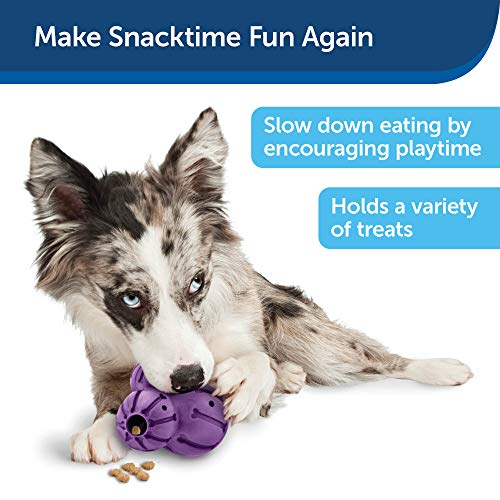 PetSafe Busy Buddy Barnacle - Dog Chew Toy - Treat Dispensing Dog Toys Purple Medium