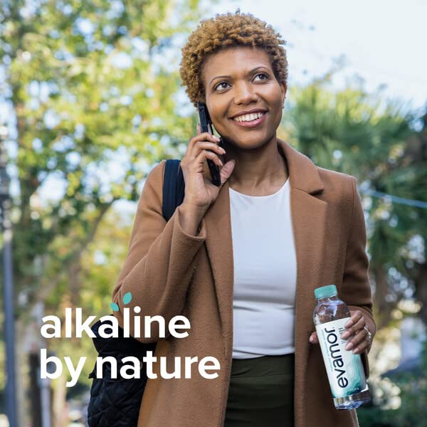 Evamor Natural Alkaline Artesian Water, 20-oz Bottles (Pack of 12)