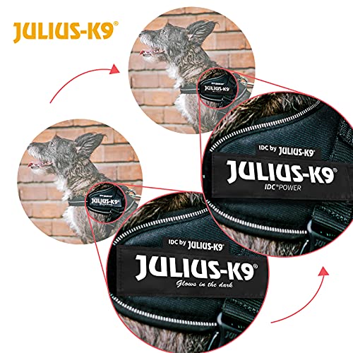 JULIUS-K9, 16IDC-P-M, IDC Powerharness, dog harness, Size: Mini, Black