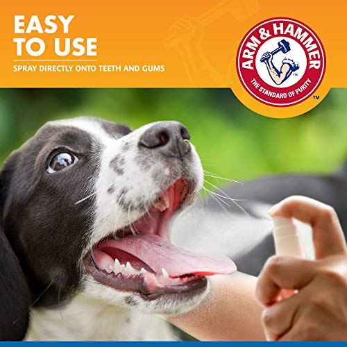 Arm and Hammer for Pets Tartar Control Dental Spray for Dogs | Dog Dental Spray Reduces Plaque and Tartar Buildup Without Brushing | Mint Flavor, 4 Ounces