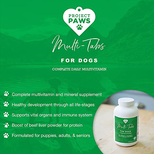 Project Paws Advanced Chewable Multivitamin for Dogs - Puppy and Senior Dog Vitamins w/ Vitamin C, Vitamin B12, and Vitamin D3 - Dog Immune Supplement - Liver Flavor - 180 ct., White
