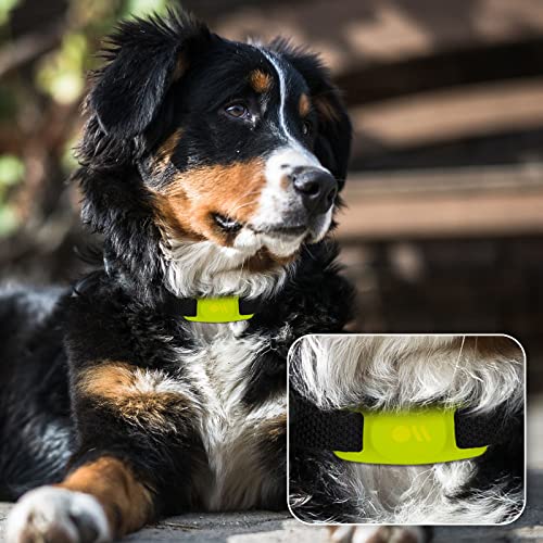 Case-Mate Airtag Dog Collar Holder - Water Resistant Airtag Holder Dog Tag - Lightweight, Protective Airtag Case for Dog Collar - Pet Collar Airtag Loop - Compatible w/Cat/Dog Collars - Lime Green