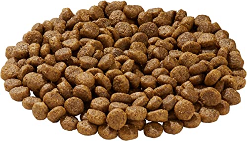 Health Extension Dry Dog Food, Natural Food with Added Vitamins and Minerals, Suitable for All Puppies, Include Duck Recipe with Whole Vegetable and Berries (4 Pound)