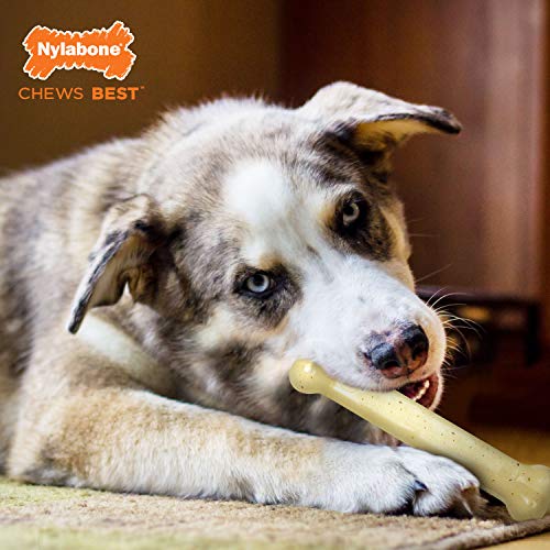 Nylabone Dental Chew and Flexi Bone Combo Pack Dog Chew Toys Chicken Large/Giant (1 Count)