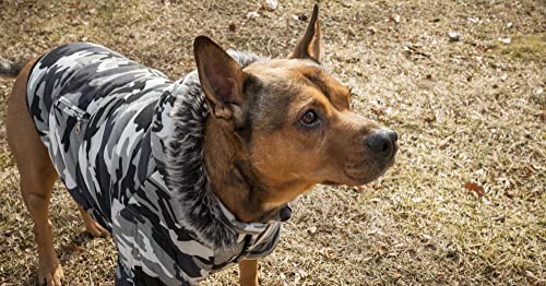 Pet Life Classic Metallic Winter Dog Coat with Zippered Removable Fur Hood - Dog Jacket Features 3M Thinsulate Insulation Warming Technology - Dog Clothes Sizing fits Small, Medium and Large Dogs