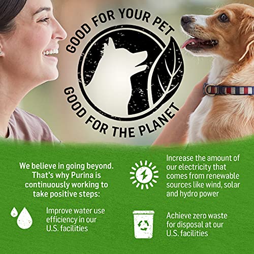 Purina Beyond Chicken, Lamb and Spinach Ground Natural Grain Free Wet Dog Food with Added Vitamins and Minerals - (12) 13 oz. Cans