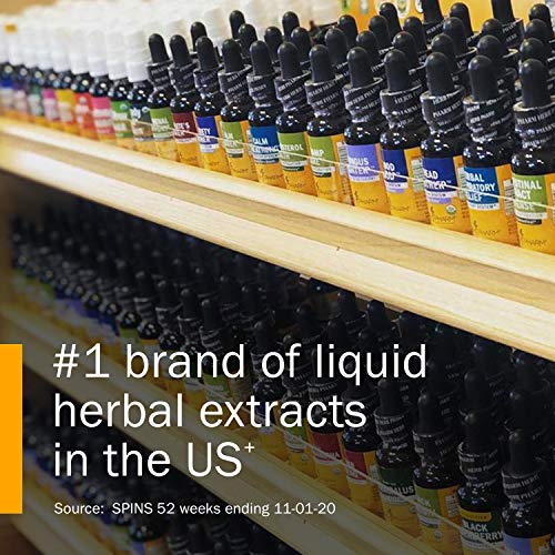 Herb Pharm Propolis Extract for Immune System Support - 1 Ounce