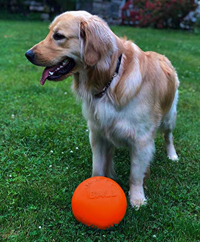 Jolly Pets Bounce-n-Play Dog Toy Ball, 8 Inches/Large, Orange, (Model: 2508 OR)