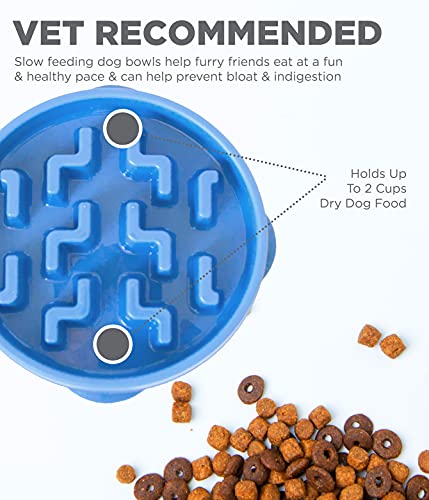 Outward Hound Fun Feeder Slo Bowl, Slow Feeder Dog Bowl, Medium/Mini, Blue
