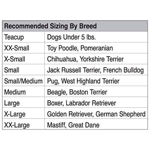 Casual Canine Basic Hoodie for Dogs, 8' XS, Green