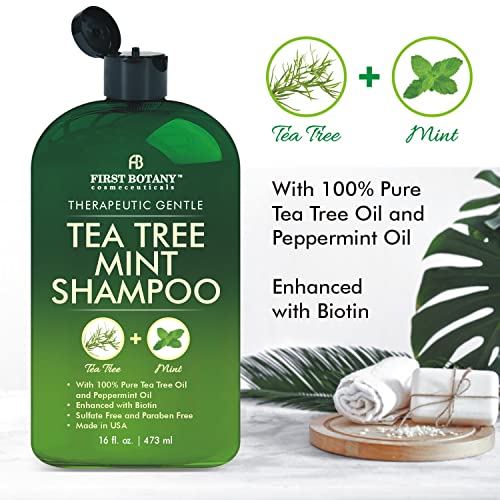 Tea Tree Mint Shampoo and Conditioner - contains Pure Tea Tree Oil and Peppermint Oil - Fights Hair Loss, Promotes Hair Growth, Fights Dandruff, Lice and Itchy Scalp - Men and Women Sulfate Free -16 oz x 2