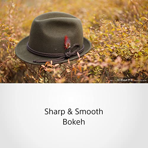 Sony SEL-85F18 Portrait Lens Fixed Focal 85mm F1.8 Full Frame Suitable for A7, ZV-E10, A6000 and Nex Series, E-Mount Black