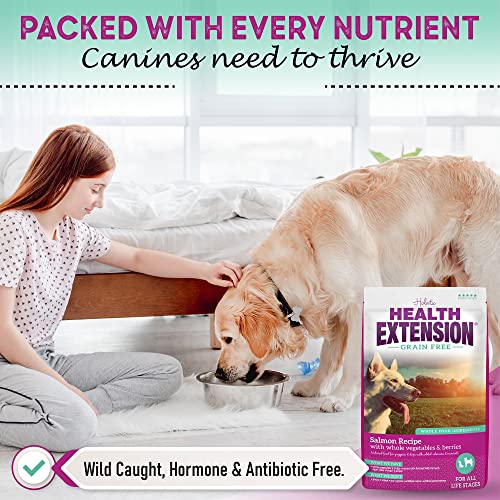 Health Extension Dry Dog Food, Natural Food with Added Vitamins and Minerals, Suitable for All Puppies, Grain Free, Salmon Recipe with Whole Vegetable and Berries (10 Pound)