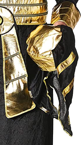 Rubie's Adult Forum Egyptian Pharaoh Costume, As Shown, Medium