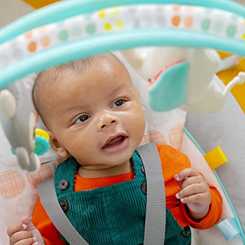 Bright Starts Whimsical Wild Portable Compact Automatic Deluxe Baby Swing with Music and Taggies, Newborn and up