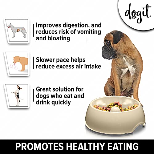 Dogit Dog Bowl Slow Feeder for Wet or Dry Dog Food, Go Slow Anti-Gulping Dog Dish, White, L