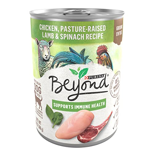 Purina Beyond Chicken, Lamb and Spinach Ground Natural Grain Free Wet Dog Food with Added Vitamins and Minerals - (12) 13 oz. Cans