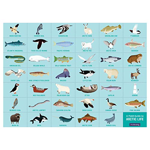 Mudpuppy Arctic Life Search and Find Puzzle, 64 Pieces, 23”x15.5” – For Kids Age 4-7 - Colorful Illustrations of Animals, Fish, Birds Living in the Arctic – Complete Puzzle to Find 40+ Hidden Images