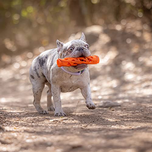 Chuckit! Air Fetch Stick Dog Toy, Large (Orange)