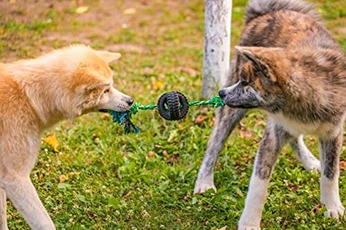 Pet Qwerks X-Tire Ball Dog Toys - Rope Interactive Chew Toy - Medium