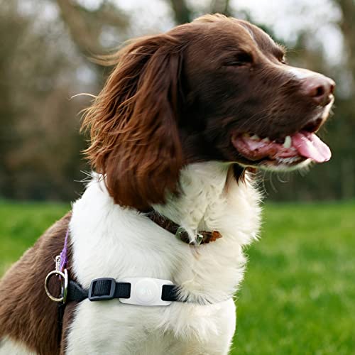 Case-Mate Airtag Dog Collar Holder - Water Resistant Airtag Holder Dog Tag - Protective Airtag Case for Dog Collar - Pet Collar Airtag Loop - Compatible with Cat/Dog Collars - Glow in The Dark